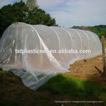 Matériaux de serre en plastique polytunnel